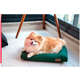 Cama Fábrica Pet Flat Musgo