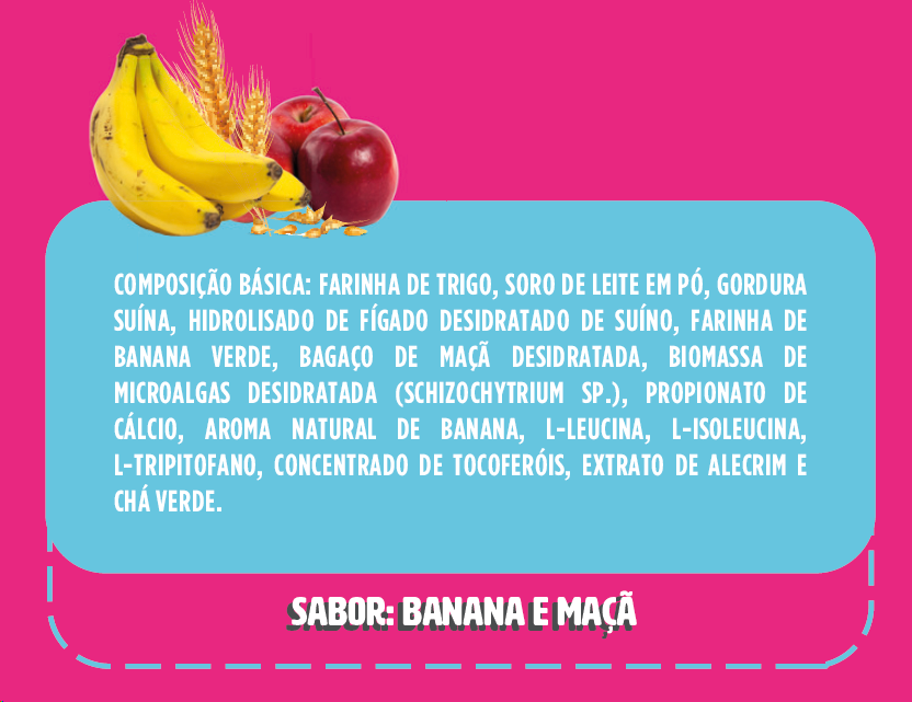 Snacks Docg Meus Primeiros Biscoitos Dia para Cães Filhotes - 75 g
