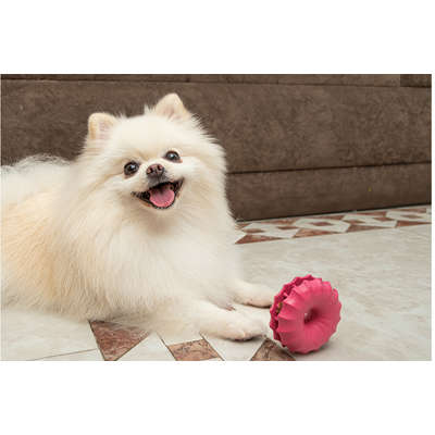 Brinquedo Amicus Fun Toys Donuts Rosa