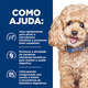 Ração Seca Hill's Prescription Diet GI Biome para Cães Adultos Pedaços Peqeuenos