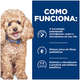 Ração Seca Hill's Prescription Diet GI Biome para Cães Adultos Pedaços Peqeuenos