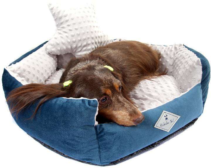 Cama Bichinho Chic Bubble Azul - Tam. G