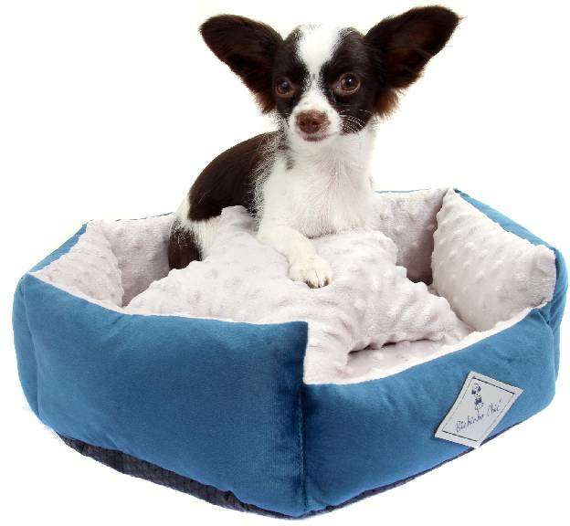 Cama Bichinho Chic Bubble Azul - Tam. P