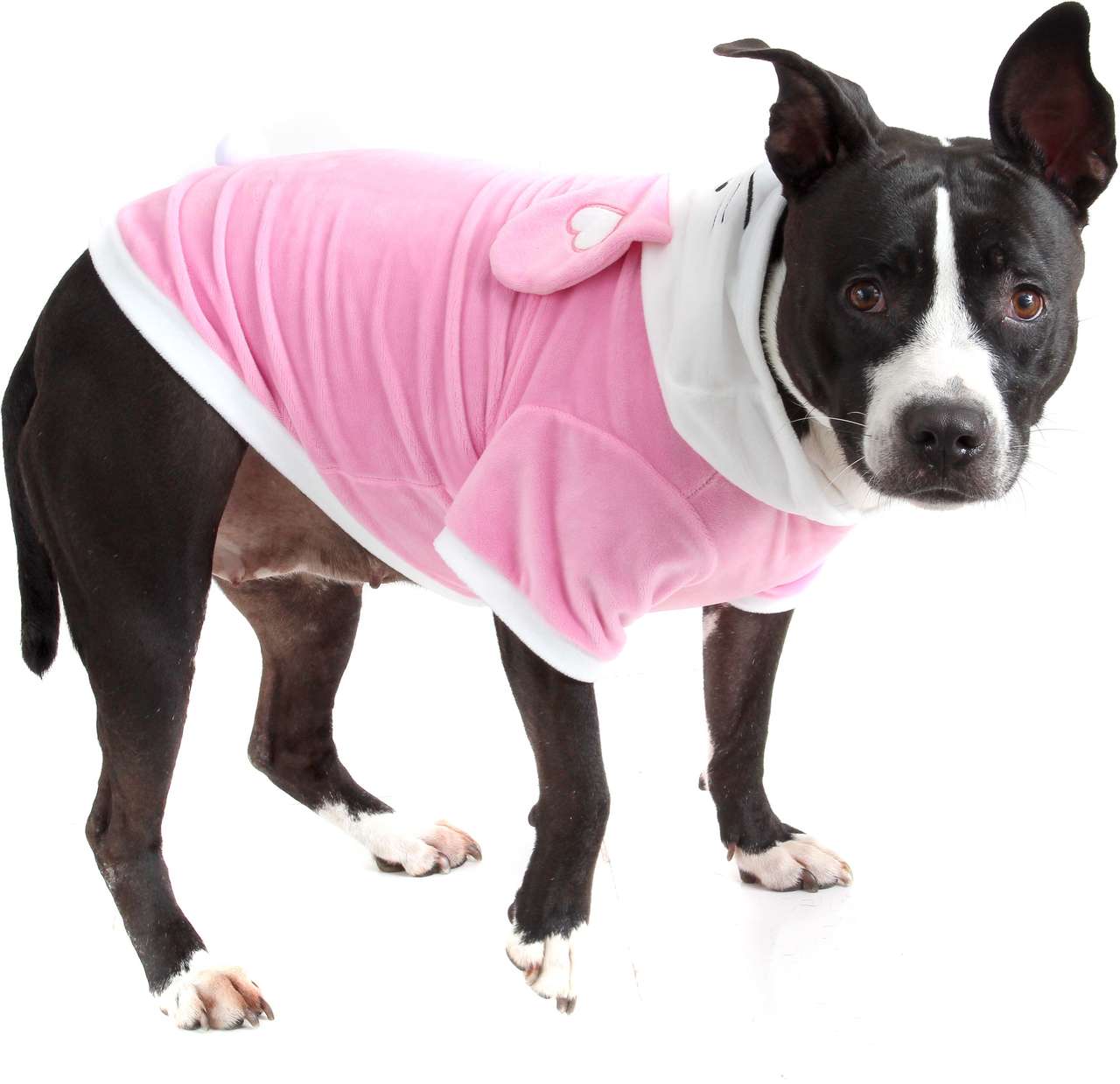 Blusão Bichinho Chic Coelhinho Rosa - Tam. 04