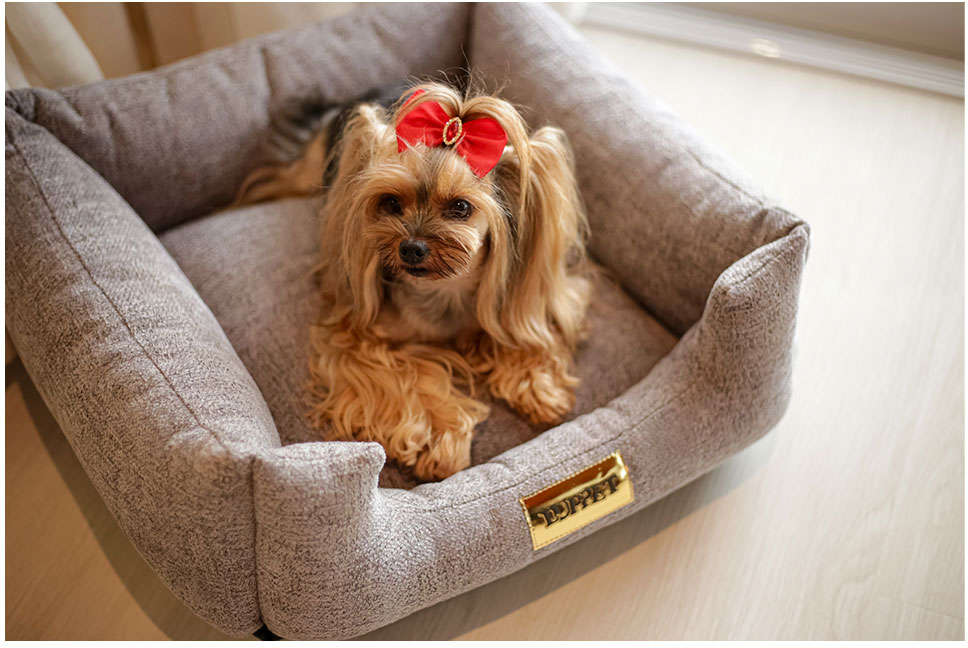 Cama Luppet Quadrada Cinza Helsink - Tam. GG