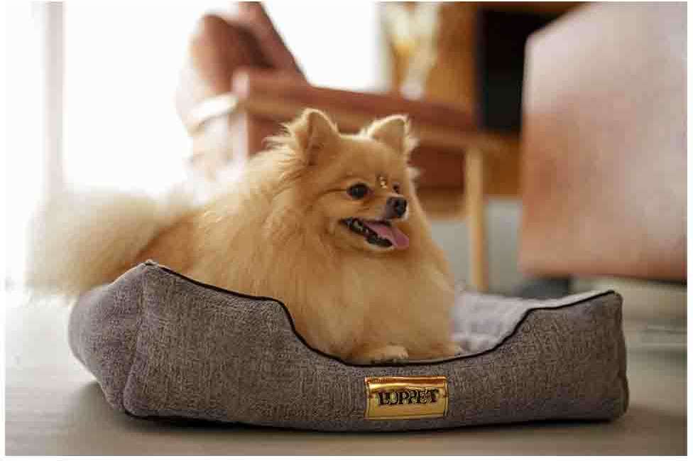 Cama Luppet Retangular Cinza Helsink - Tam. GG