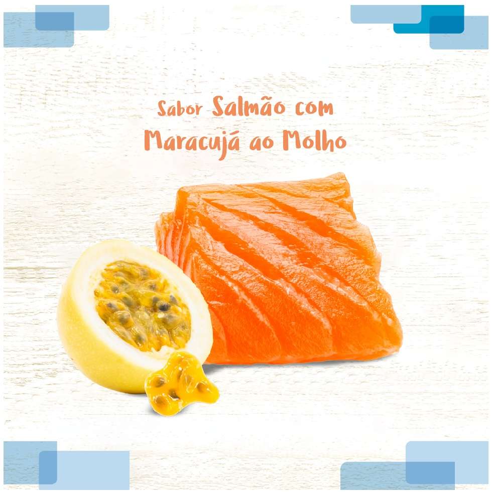 Ração Úmida Fórmula Natural Receitas Caseiras Salmão com Maracujá ao Molho para Gatos - 100 g