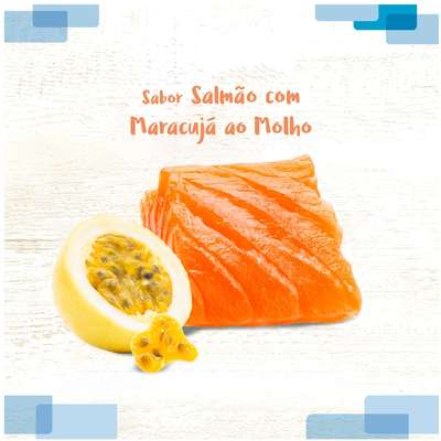 Ração Úmida Fórmula Natural Receitas Caseiras Salmão com Maracujá ao Molho para Gatos