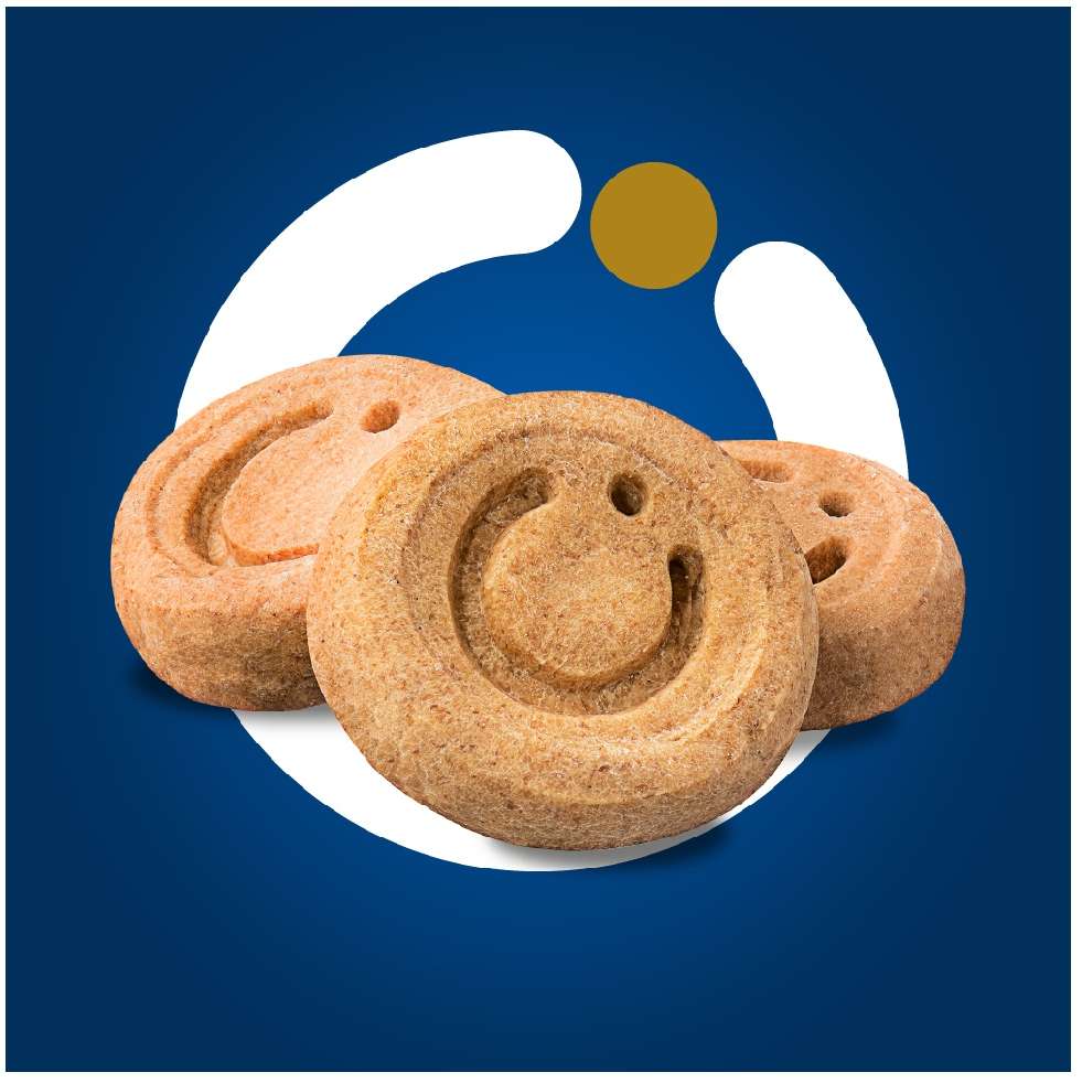 Biscoito Origens para Cães Adultos Porte Grande Sabor Cereais e Frutas Vermelhas - 400g
