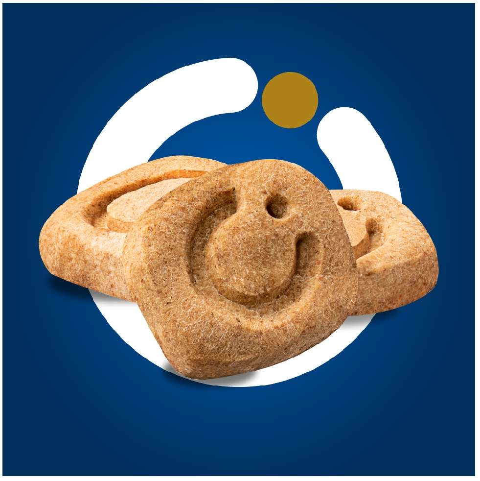 Biscoito Origens para Cães Adultos Porte Mini e Pequeno Sabor Aveia e Cereais - 400g