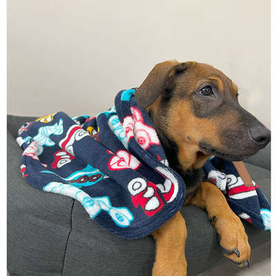 “Cobertor Fábrica Pet Ultra Soft Transport”
Voltar a lista de Imagens