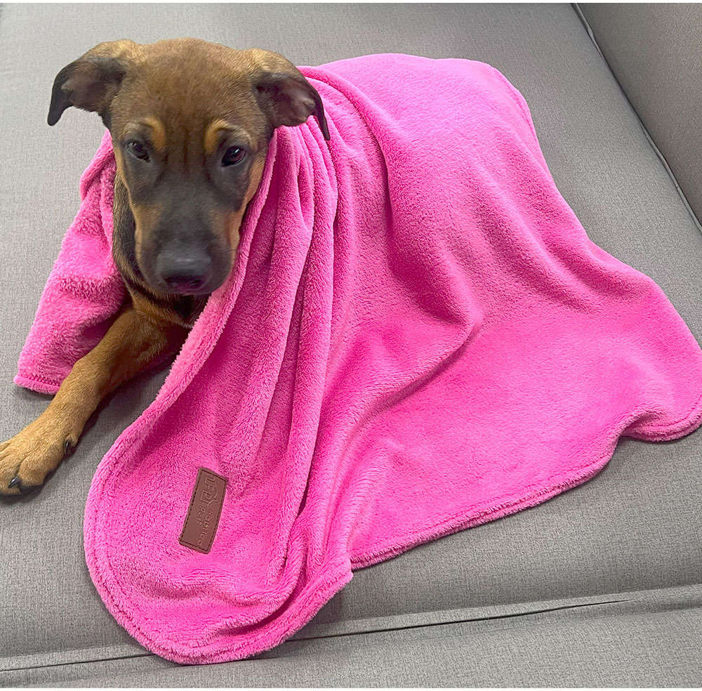 Cobertor Fábrica Pet Ultra Soft Liso Pink - Tam. Único