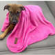 Cobertor Fábrica Pet Ultra Soft Liso Pink