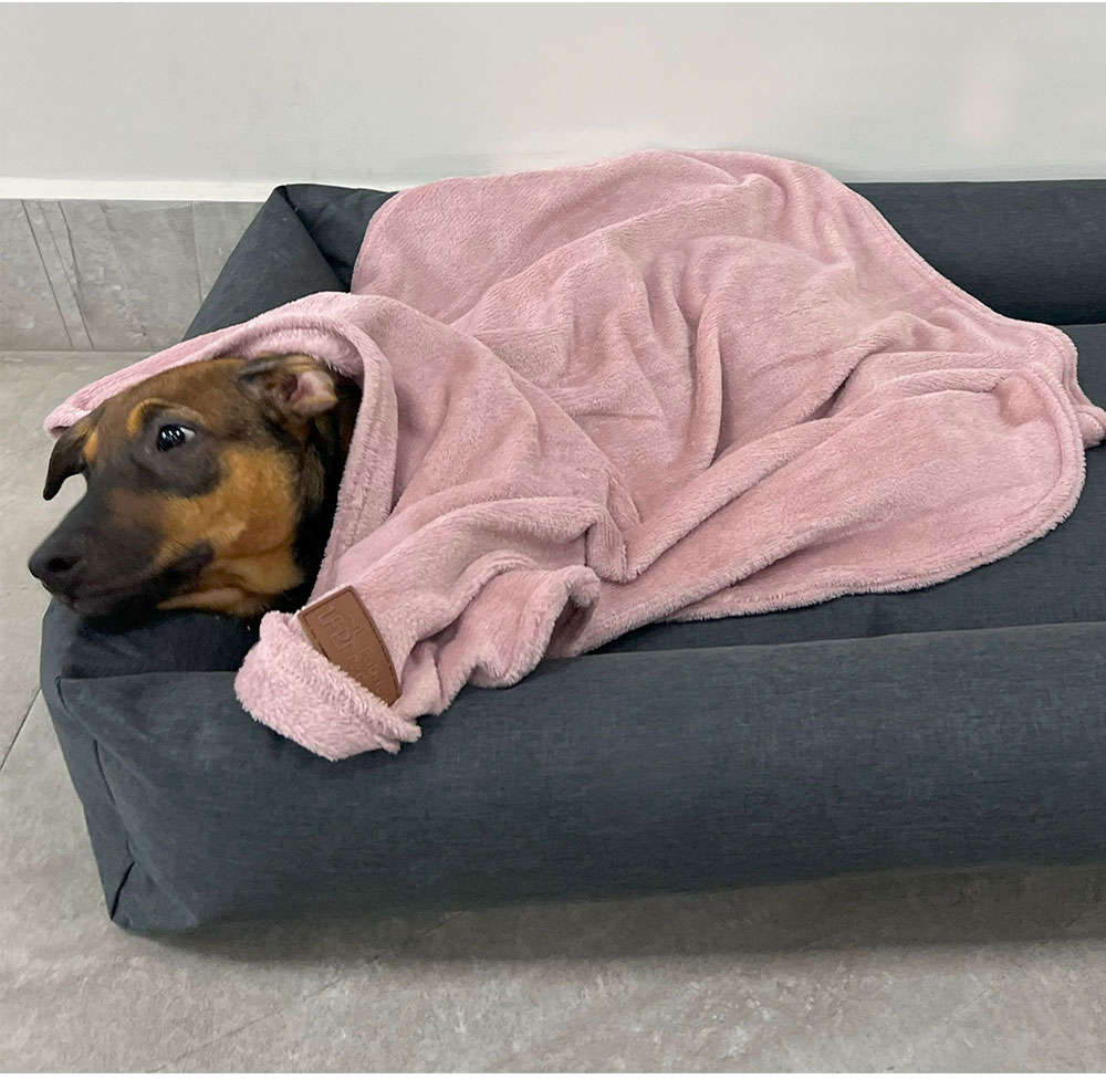 Cobertor Fábrica Pet Ultra Soft Liso Rose - Tam. Único