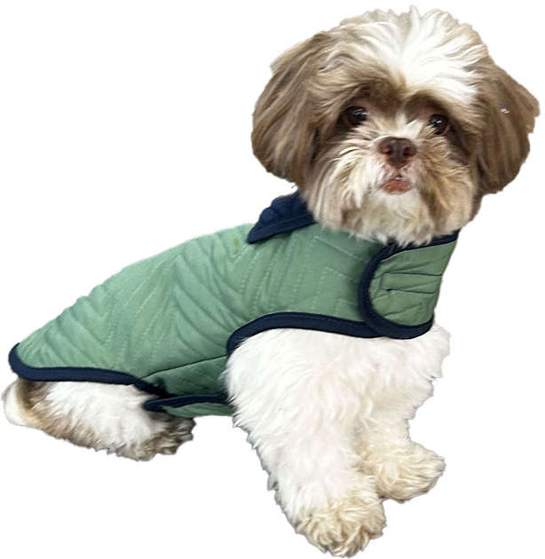 Capa Fábrica Pet Dupla Face Verde - Tam. PP