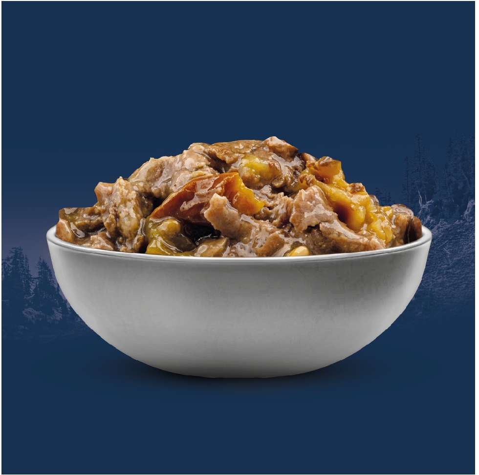 Ração Úmida Origens Carne com Abóbora para Cães Adultos - 85 g