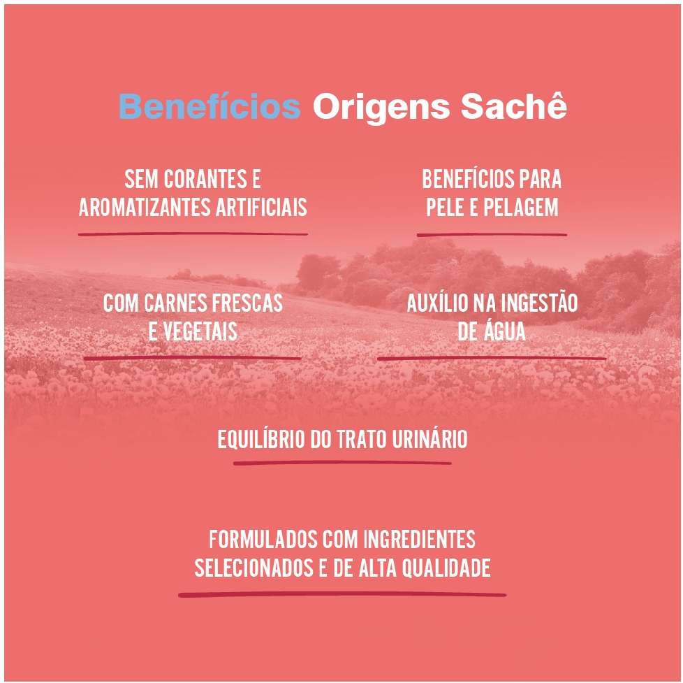 Ração Úmida Origens Carne ao Molho para Gatos - 85 g