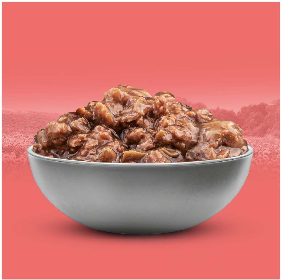 Ração Úmida Origens Carne ao Molho para Gatos - 85 g