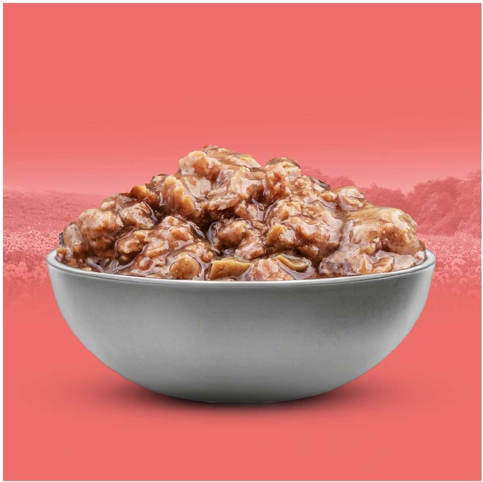 Ração Úmida Origens Frango e Carne para Gatos Castrados - 85 g