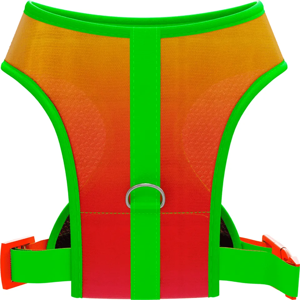 Peitoral Mesh Citrus para Cães - Tam. G