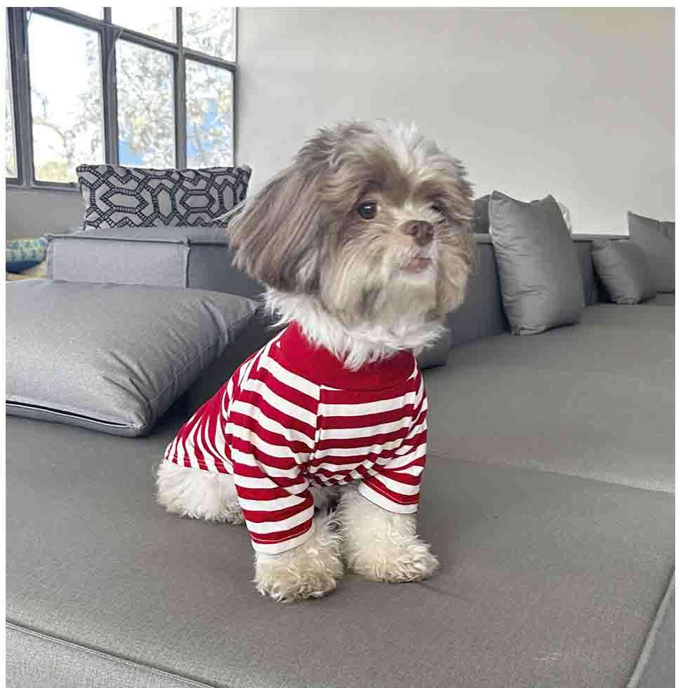 Blusa Listra com Manga Fábrica Pet Vermelha - Tam. G