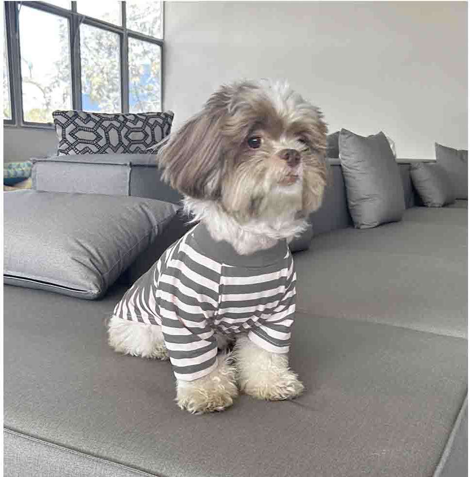 Blusa Fábrica Pet Lista Cinza com Manga - Tam. M