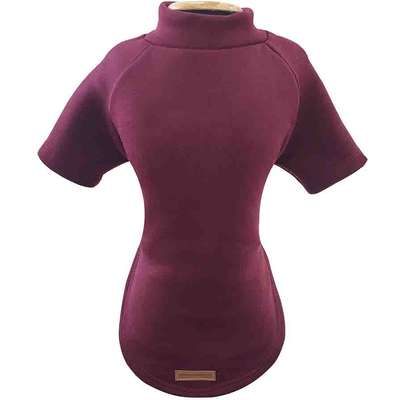Blusa Moletom com Manga Fábrica Pet Vinho