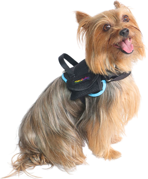 Peitoral meuAuAu Safe Neon Azul para Cães - Tam. M