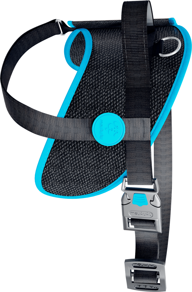 Peitoral meuAuAu Safe Neon Azul para Cães - Tam. M
