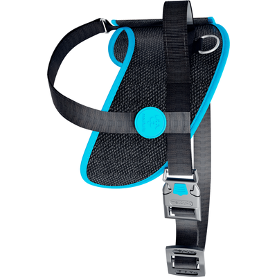 Peitoral meuAuAu Safe Neon Azul para Cães
