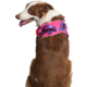 Peitoral meuAuAu Safe New Pink para Cães