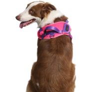 Peitoral meuAuAu Safe New Pink para Cães - Tam. P