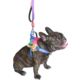 Peitoral meuAuAu Safe New Joy para Cães