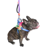 Peitoral meuAuAu Safe New Joy para Cães - Tam. M