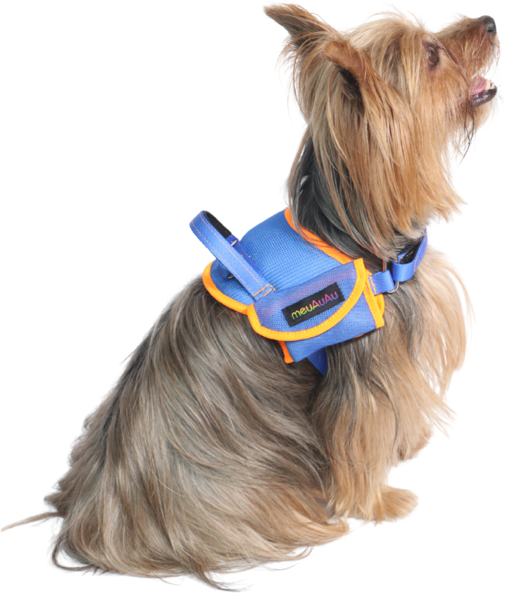 Peitoral meuAuAu Safe New Blue para Cães - Tam. M