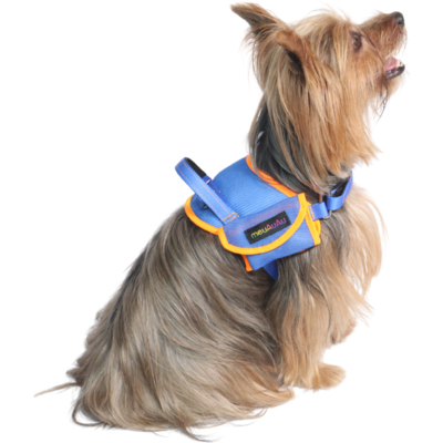 Peitoral meuAuAu Safe New Blue para Cães
