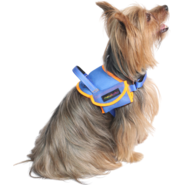Peitoral meuAuAu Safe New Blue para Cães - Tam. M