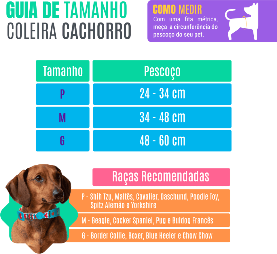 Coleira meuAuAu Armyblue para Cães - Tam. G