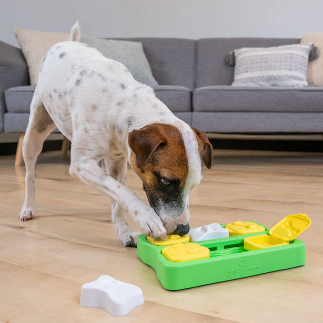 Brinquedo Outward Hound Jogo Interativo de Tijolinhos - Tam. Único