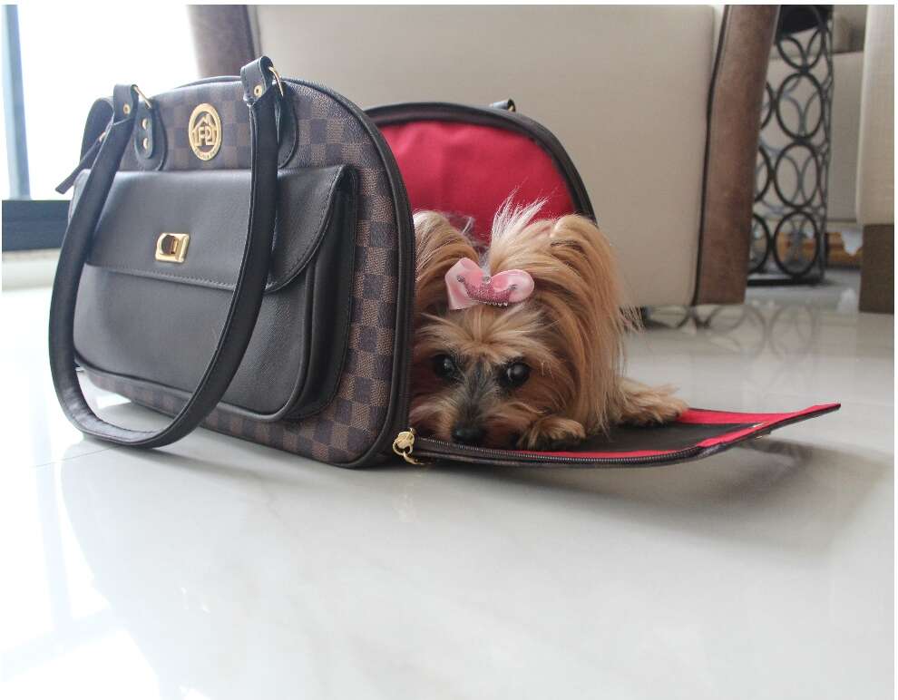 Bolsa de Transporte Fechada Luxo Gold - Tam. Único