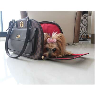 Bolsa de Transporte Fechada Luxo Gold”