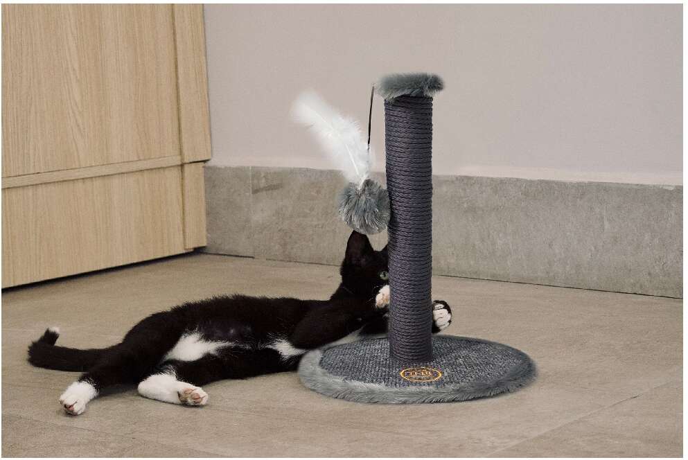 Brinquedo Arranhador Torre Eiffel Cinza - Tam. P