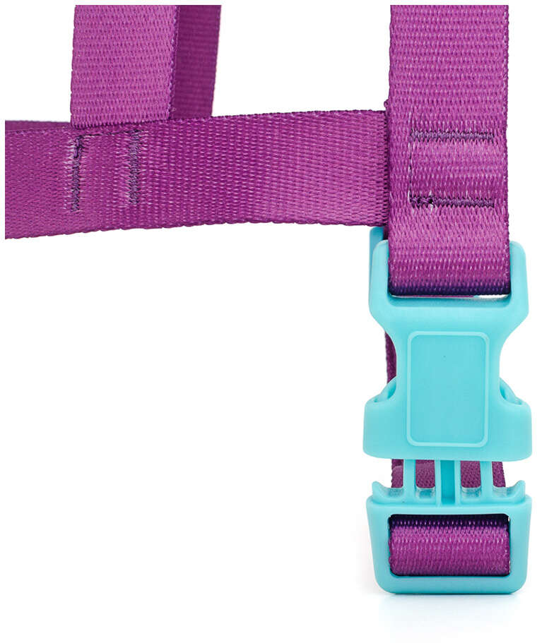 Peitoral Tradicional Meau Duo Roxo Azul - Tam. G