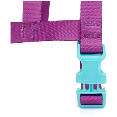“Peitoral Tradicional Meau Duo Roxo Azul”