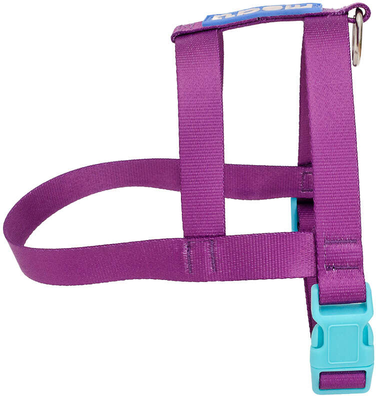 Peitoral Tradicional Meau Duo Roxo Azul - Tam. G