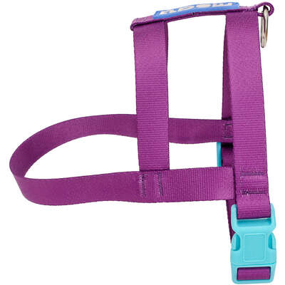 “Peitoral Tradicional Meau Duo Roxo Azul”
