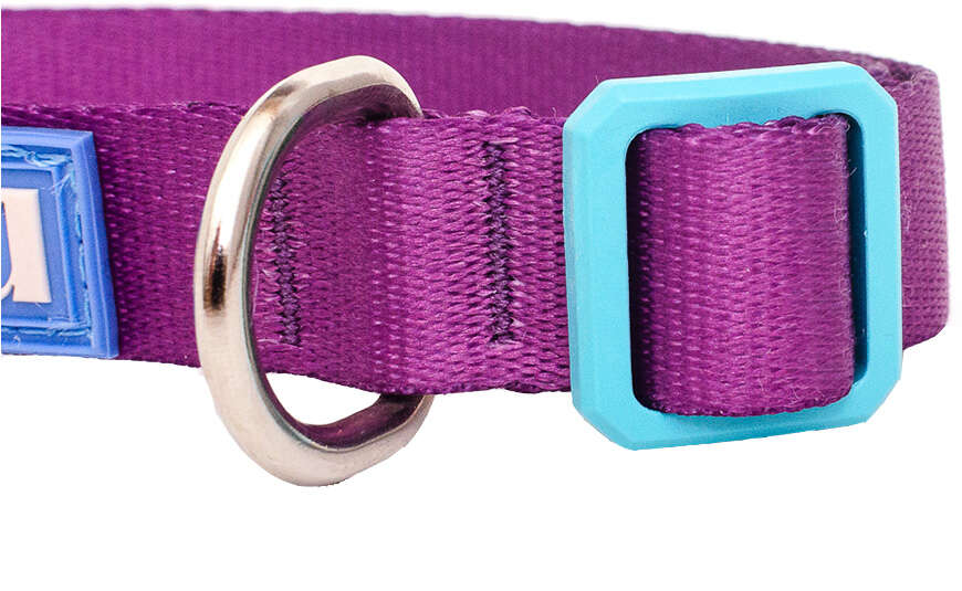Coleira Meau Duo Roxo Azul - Tam. G
