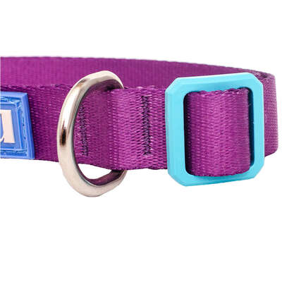 Coleira Meau Duo Roxo Azul”