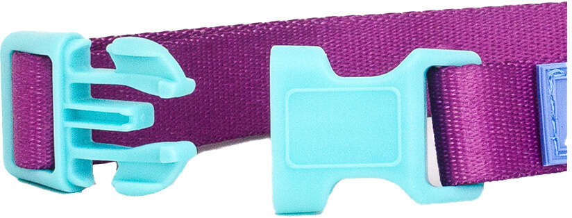 Coleira Meau Duo Roxo Azul - Tam. G