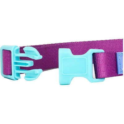 Coleira Meau Duo Roxo Azul”